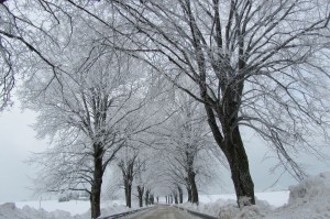 Schnee im Winter an der Ostsee