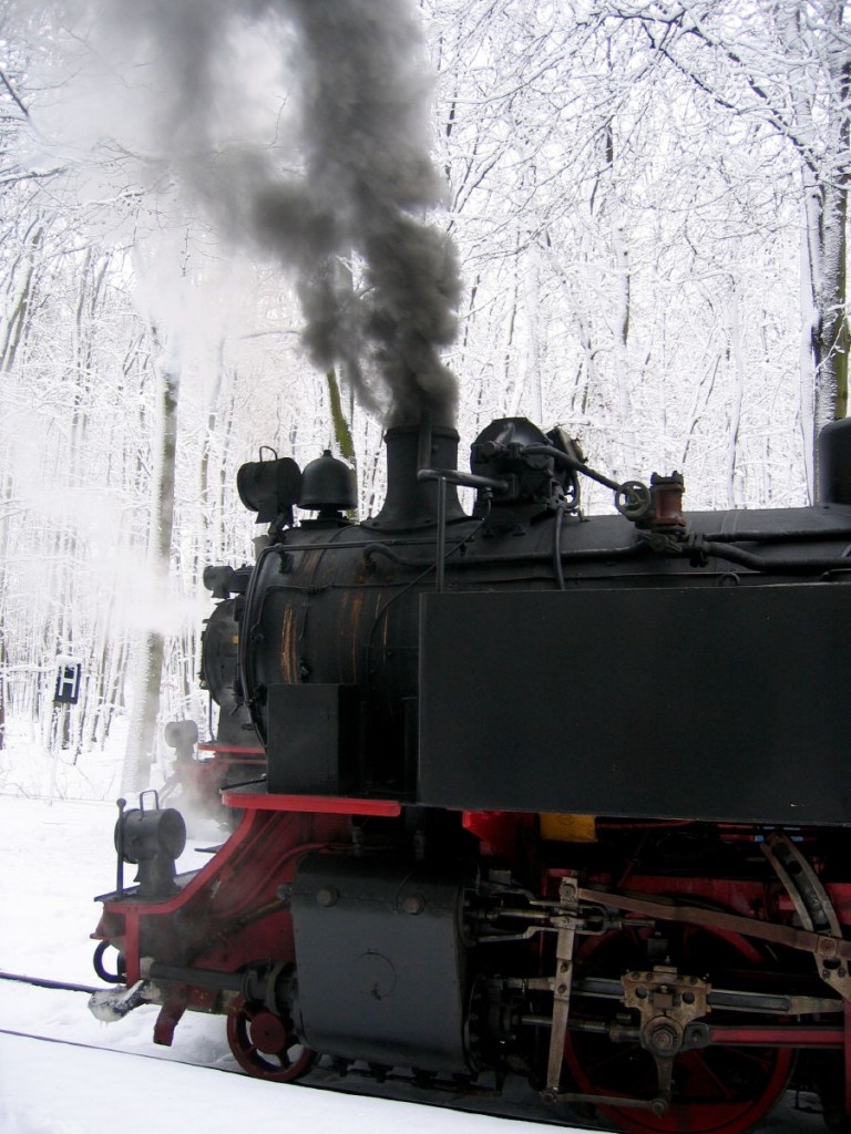 Molli Bahn im Winter