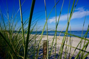 Blick durch Strandhafer auf die Ostsee in Rerik