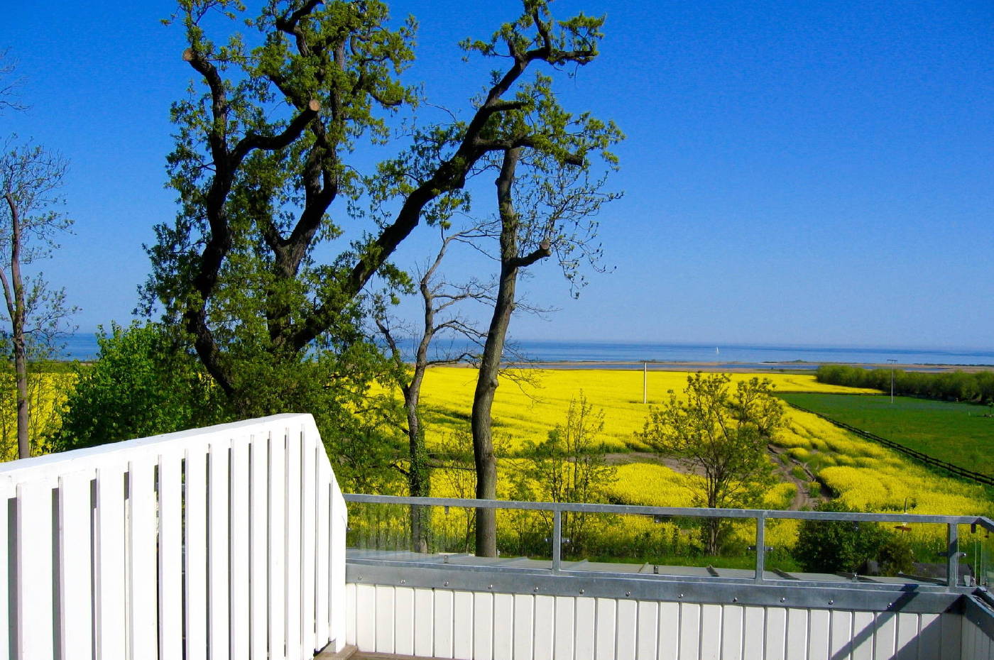 Meerblick aus der Ferienwohnung im Gutshaus