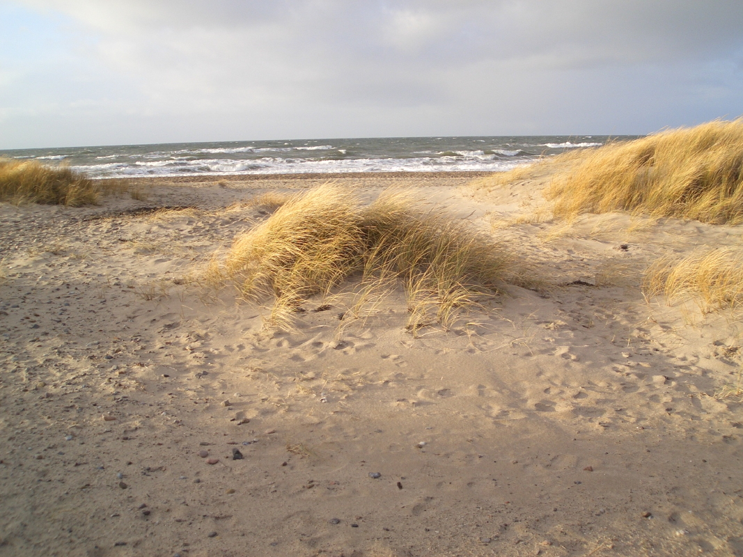 Ostsee Strand am Riedensee