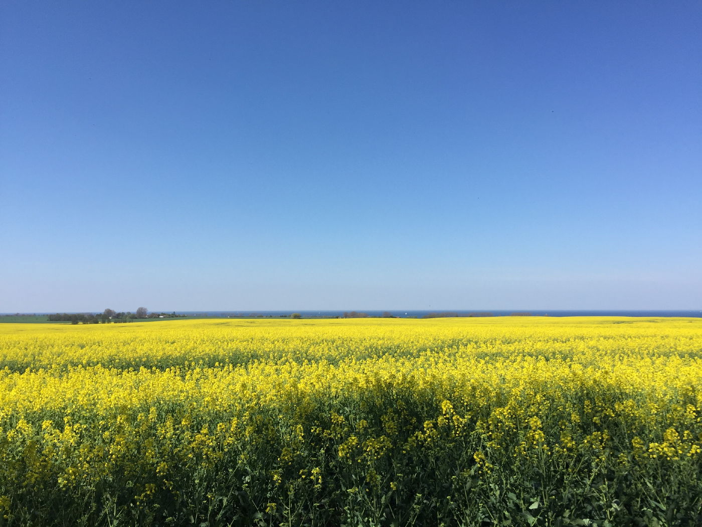 Radtour zwischen Rerik und Kühlungsborn