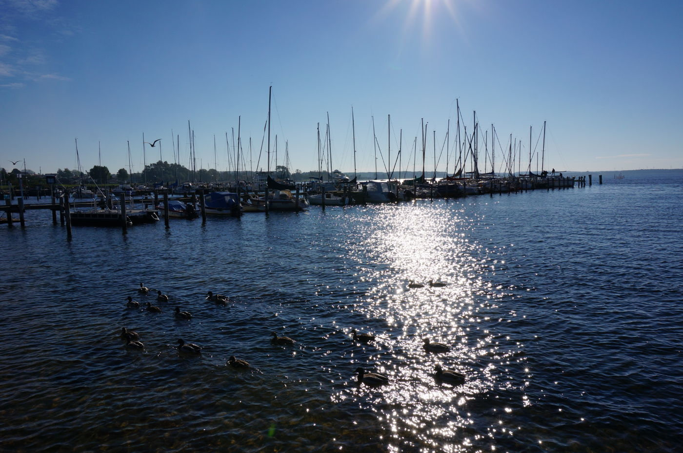 Blick vom Haffplatz auf den Hafen in Rerik