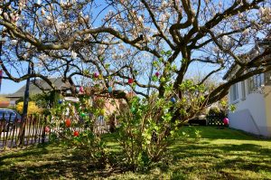 Ostern in Rerik an der Ostsee