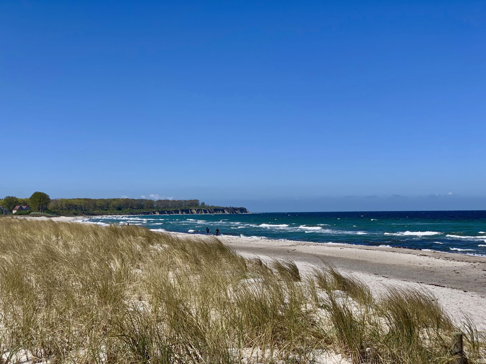 Strand von Rerik an der Ostsee